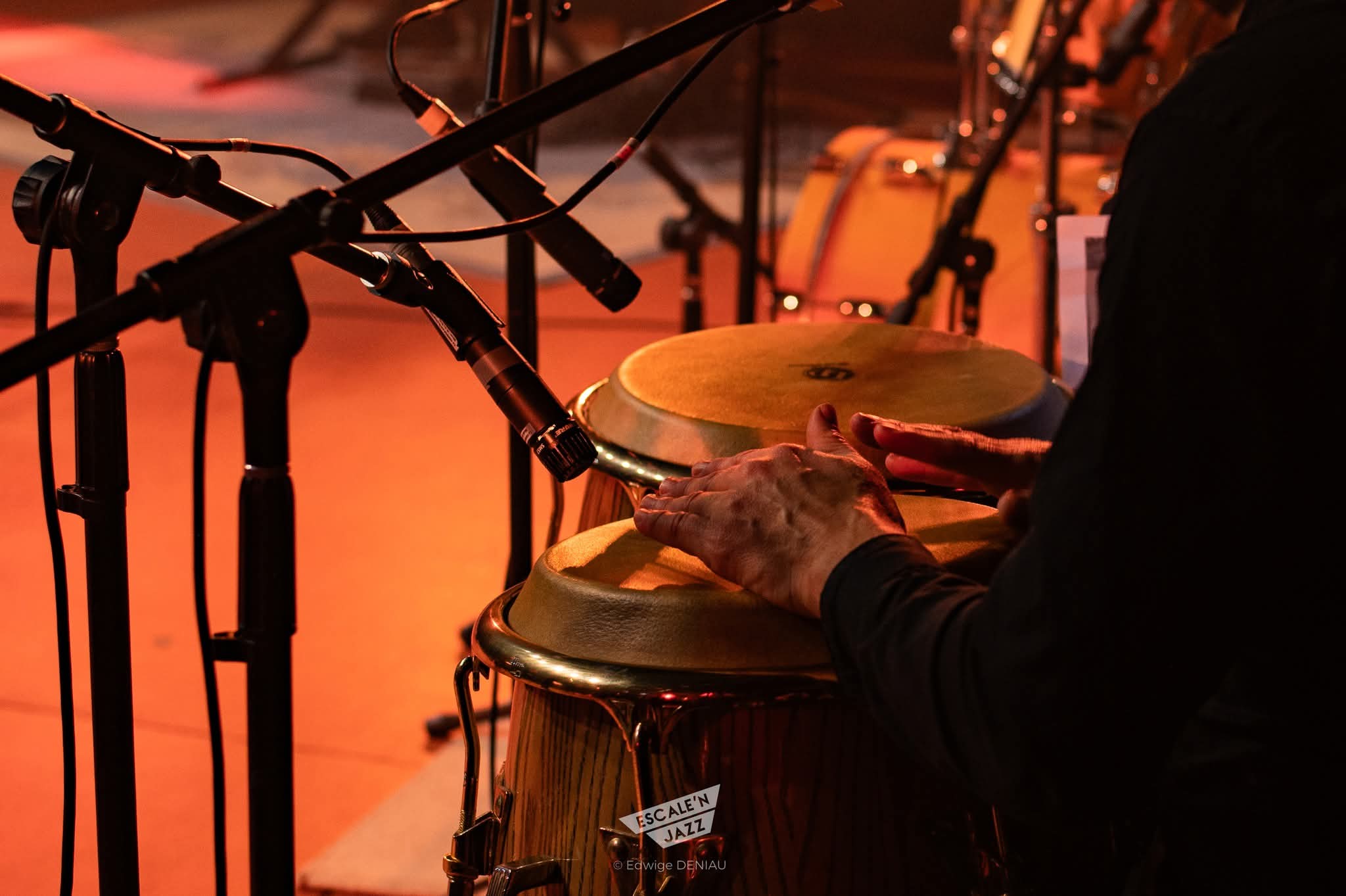 Son Cuba en concert